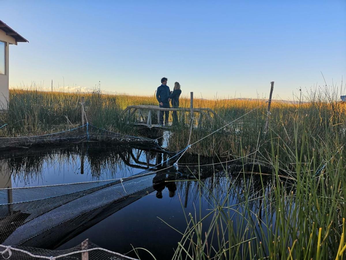 Uros Lodge Lover Titiqaqa Puno Eksteriør billede